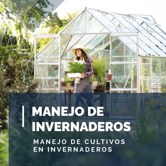 Manejo de Cultivos en Invernaderos