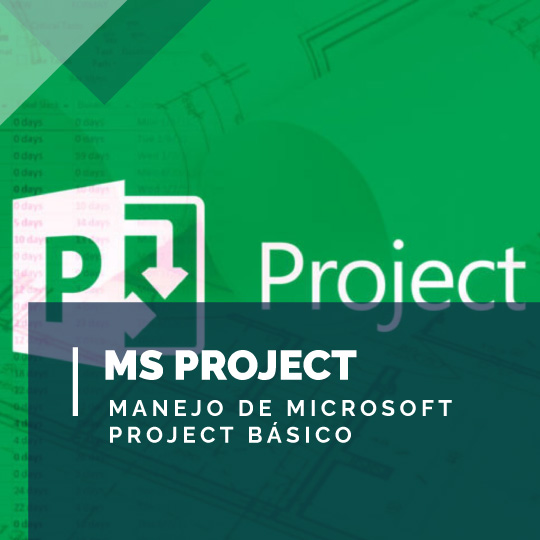 project_web