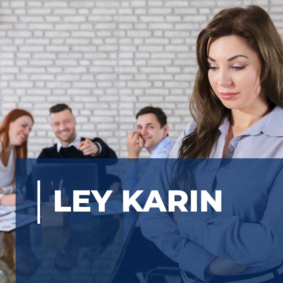 Ley Karin